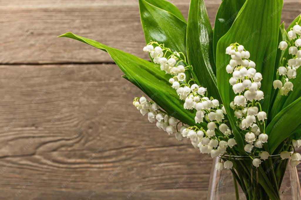 Un brin de Muguet, une touche de Bonheur....